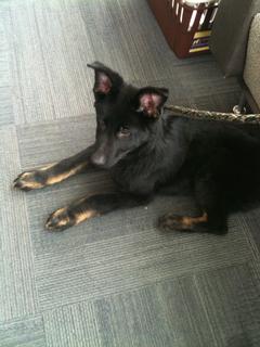 kathys iphone 302.JPG